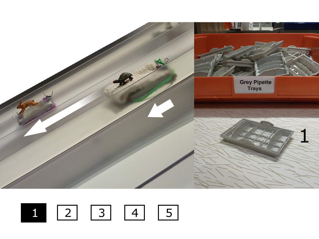 Engineering Design Challenge: Bobsleds