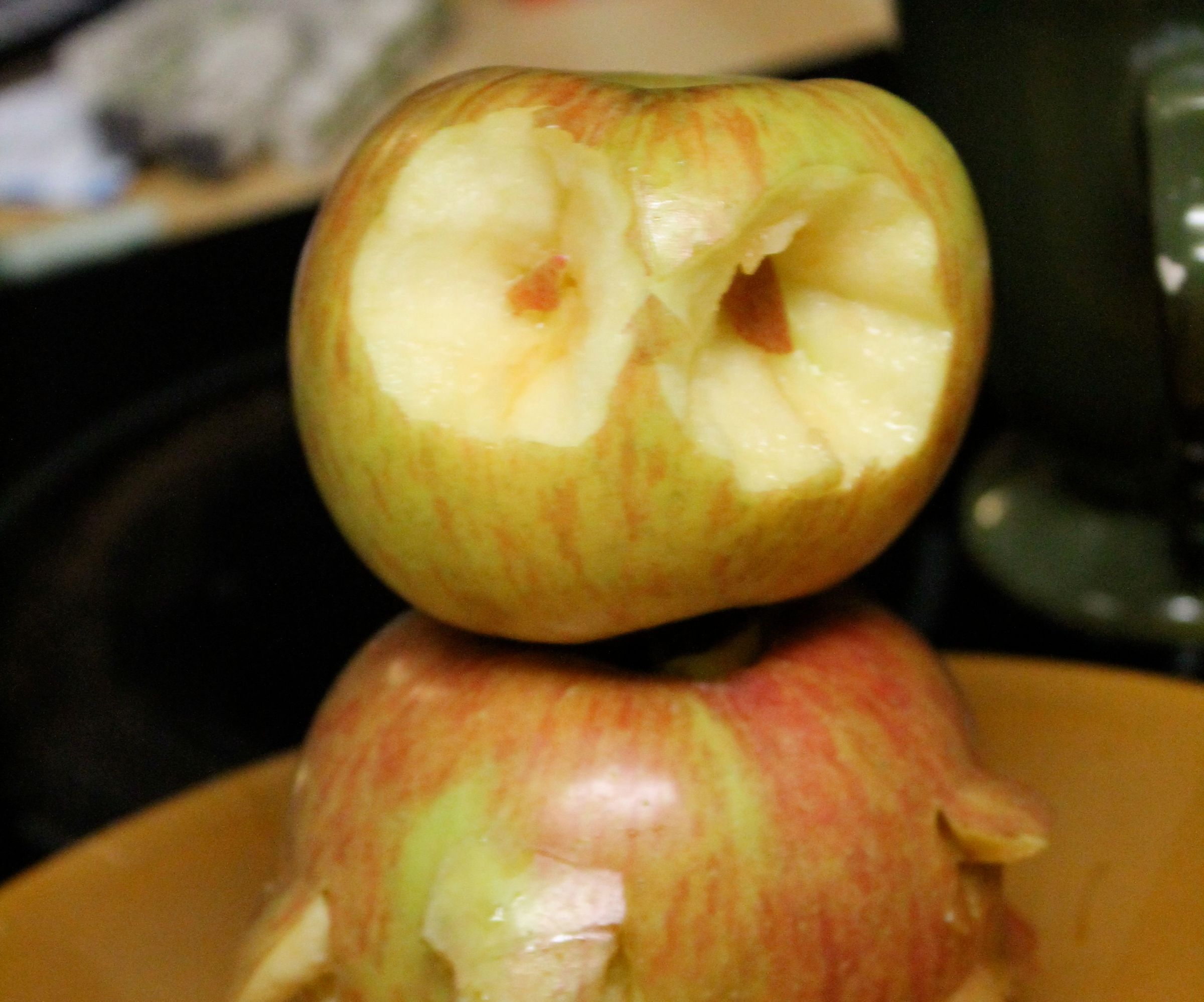 How to Make a Apple Owl