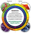 Aquaponics