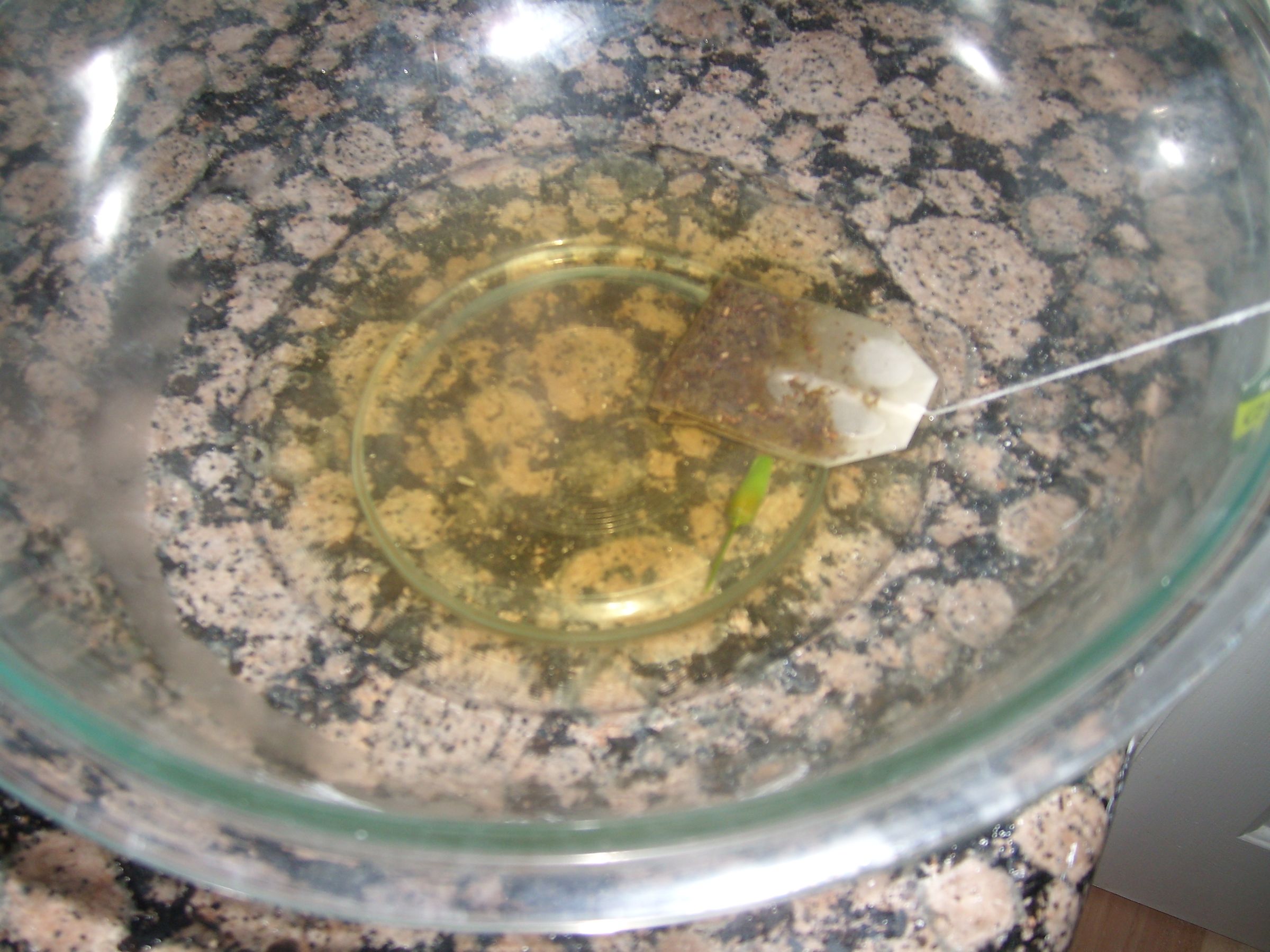 Green Tea Flavored 'jello' Style Gelatin Dessert 4 Steps (with