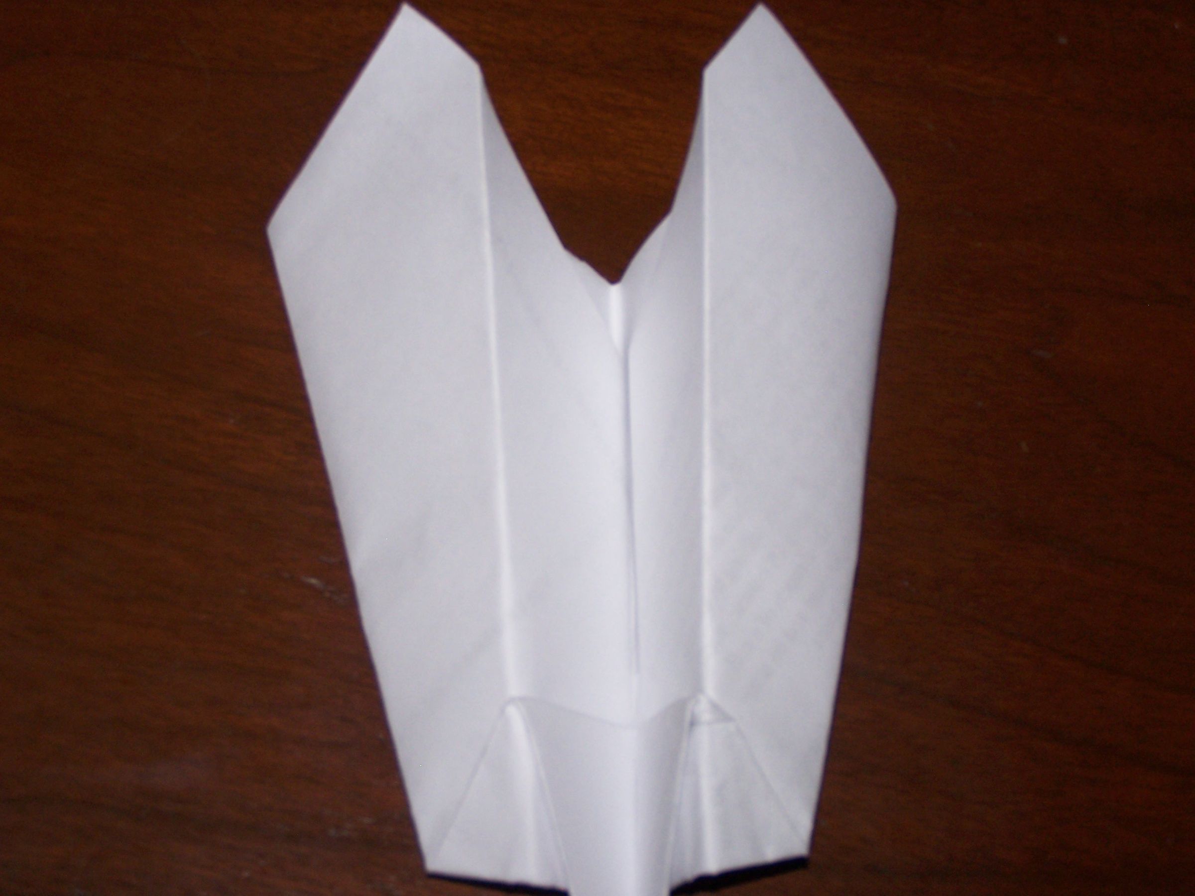 The Zinger airplane