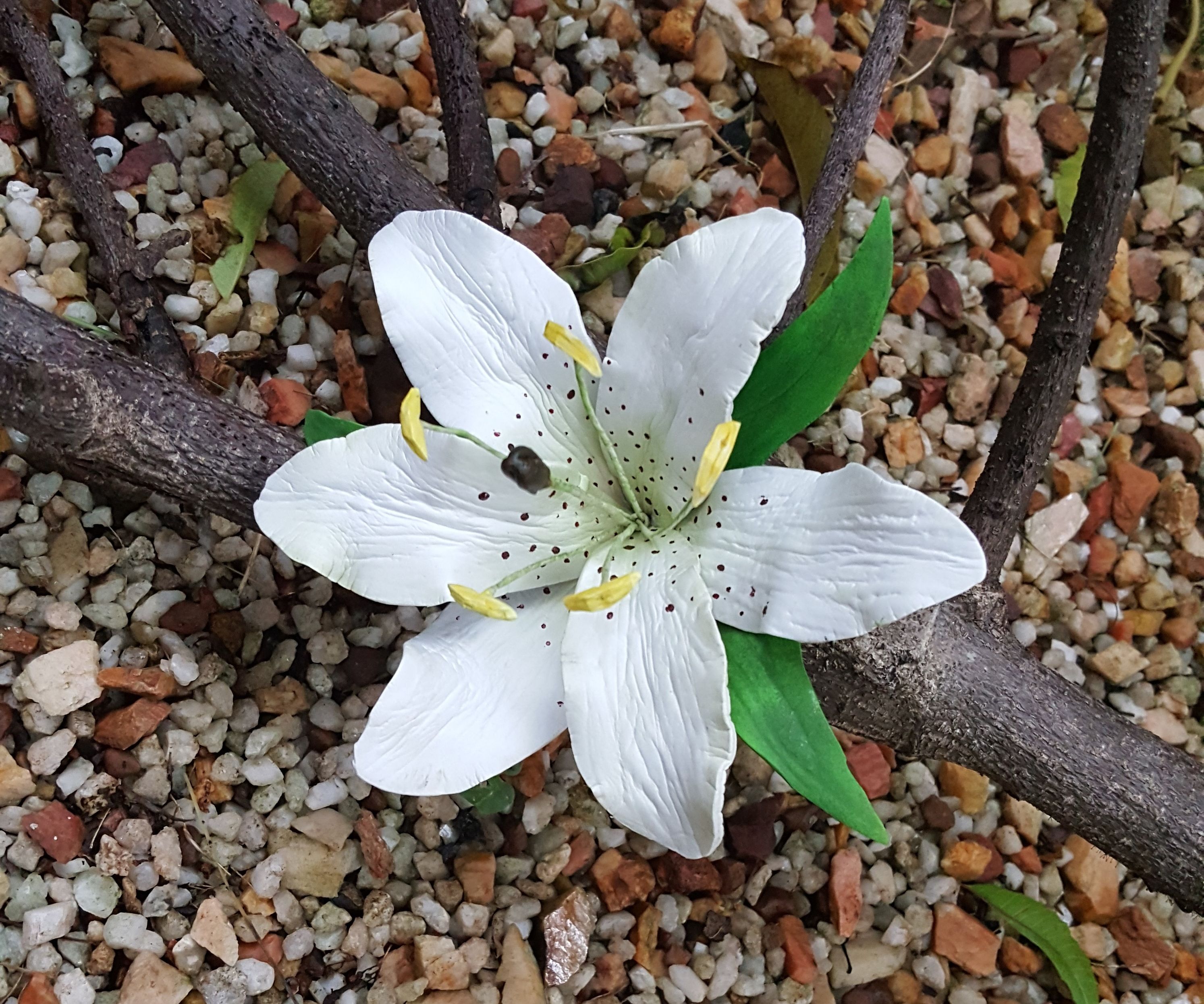 Foam Forming  a Tiger Lily 
