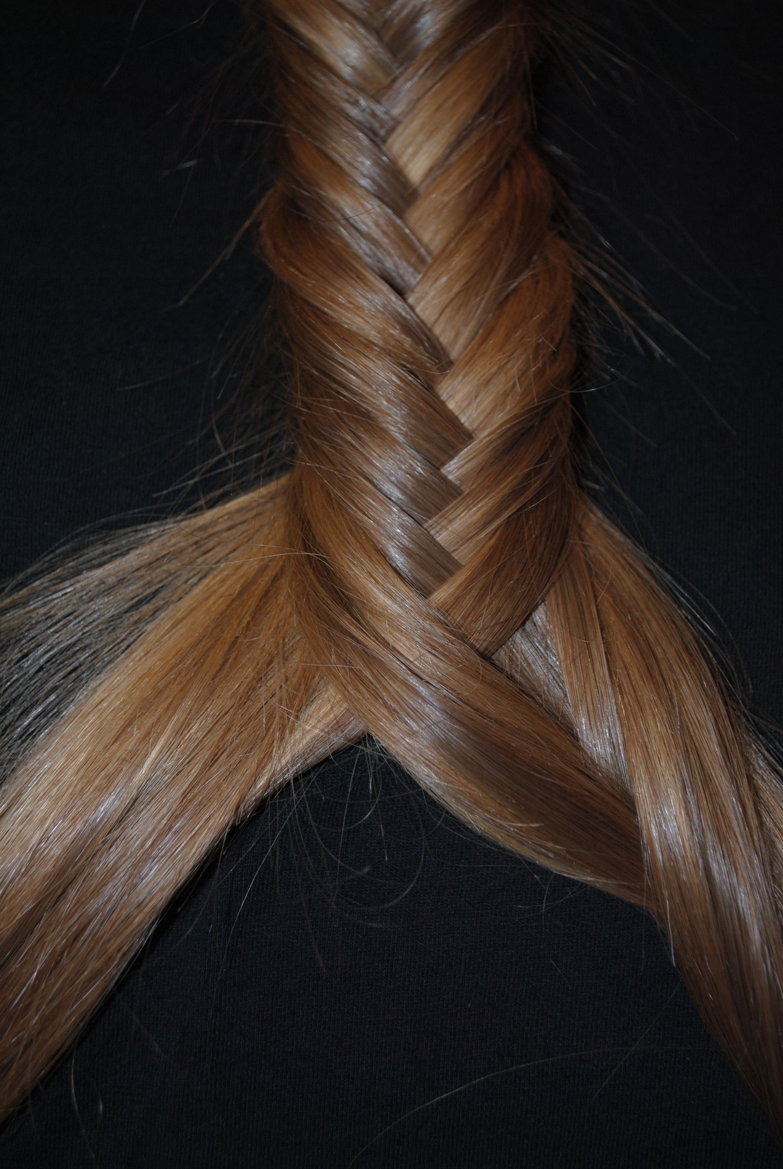 Fish Tail Braid