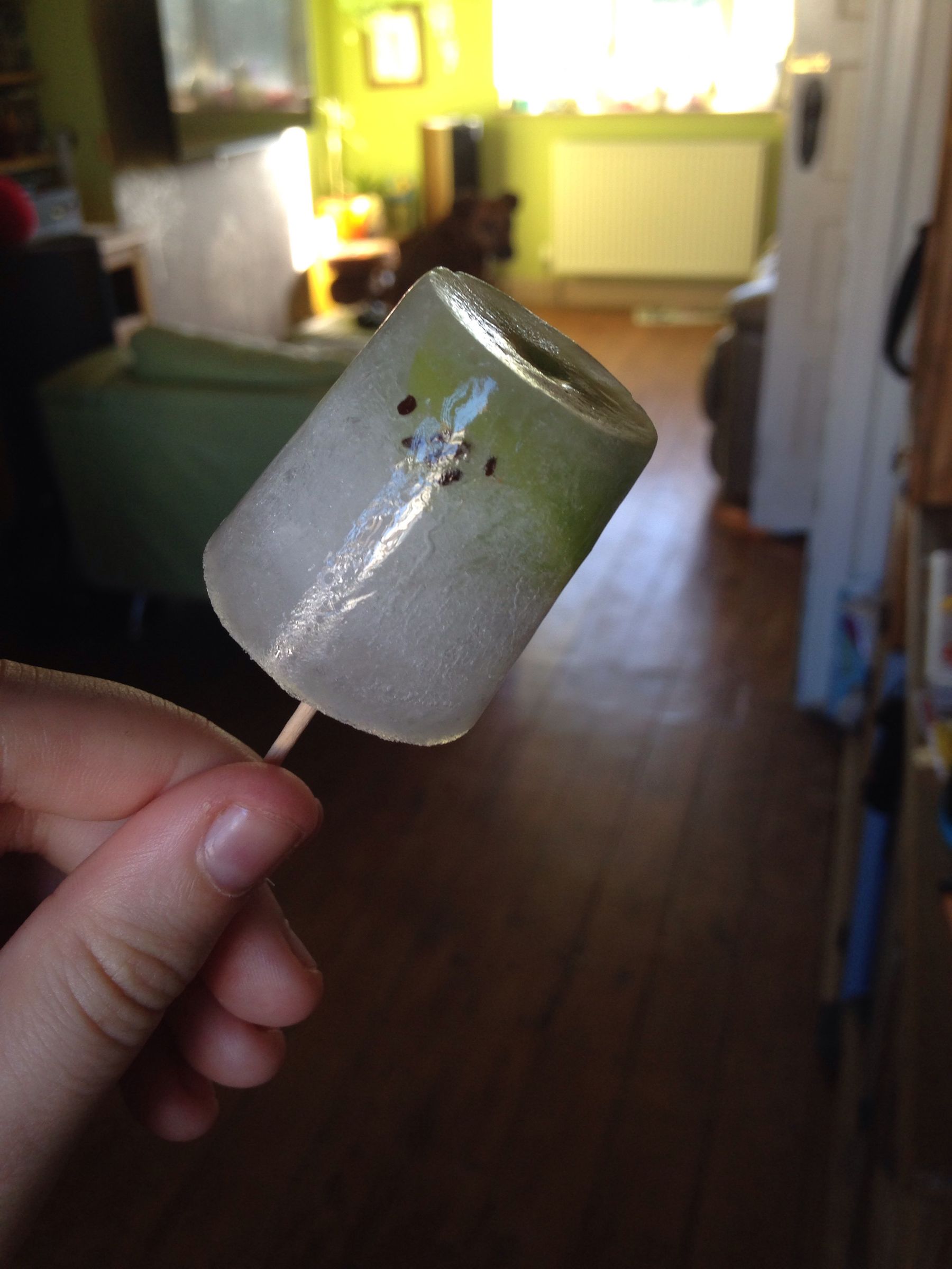 Super Easy Ice Pops!