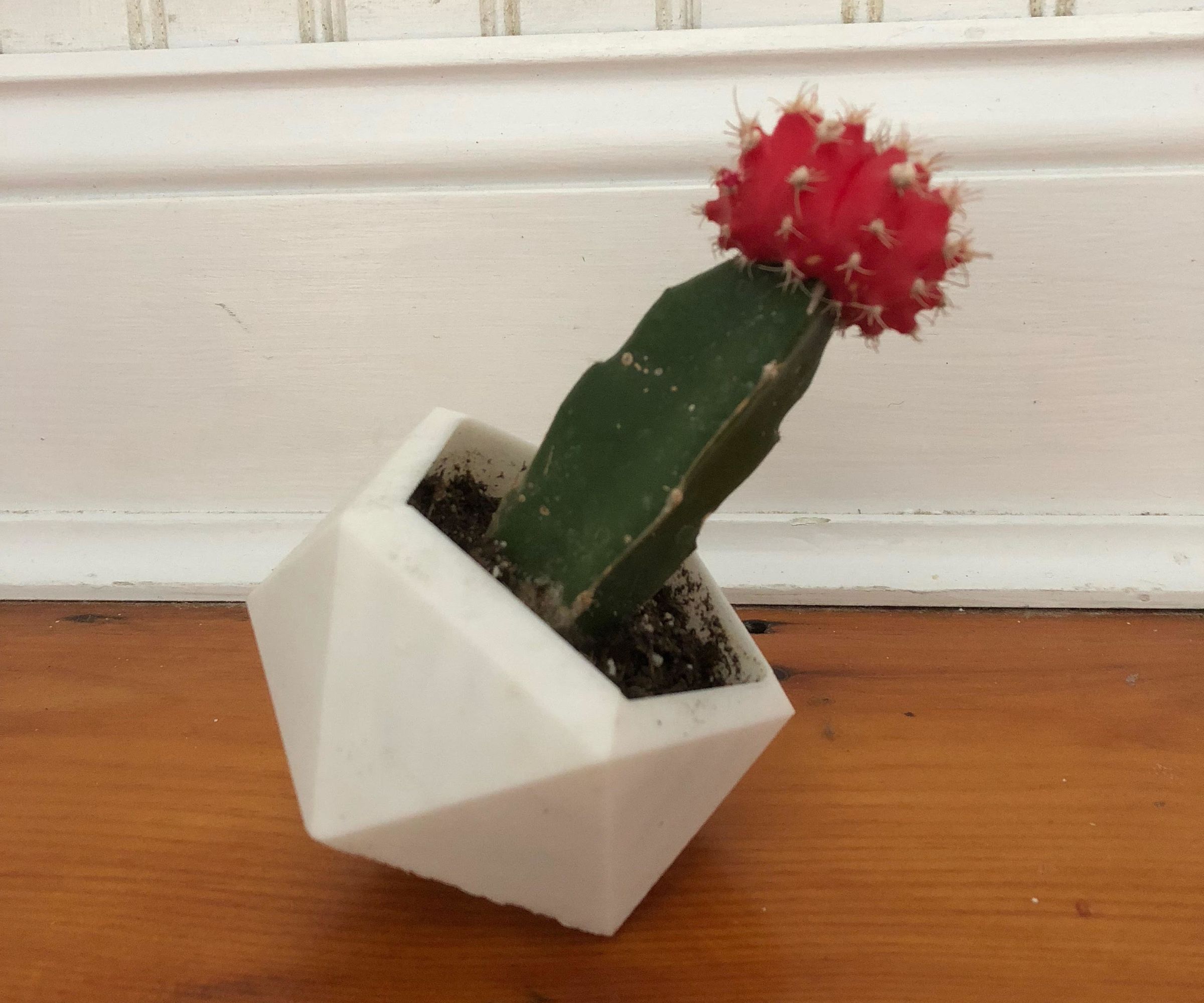 3-D Printed Planter