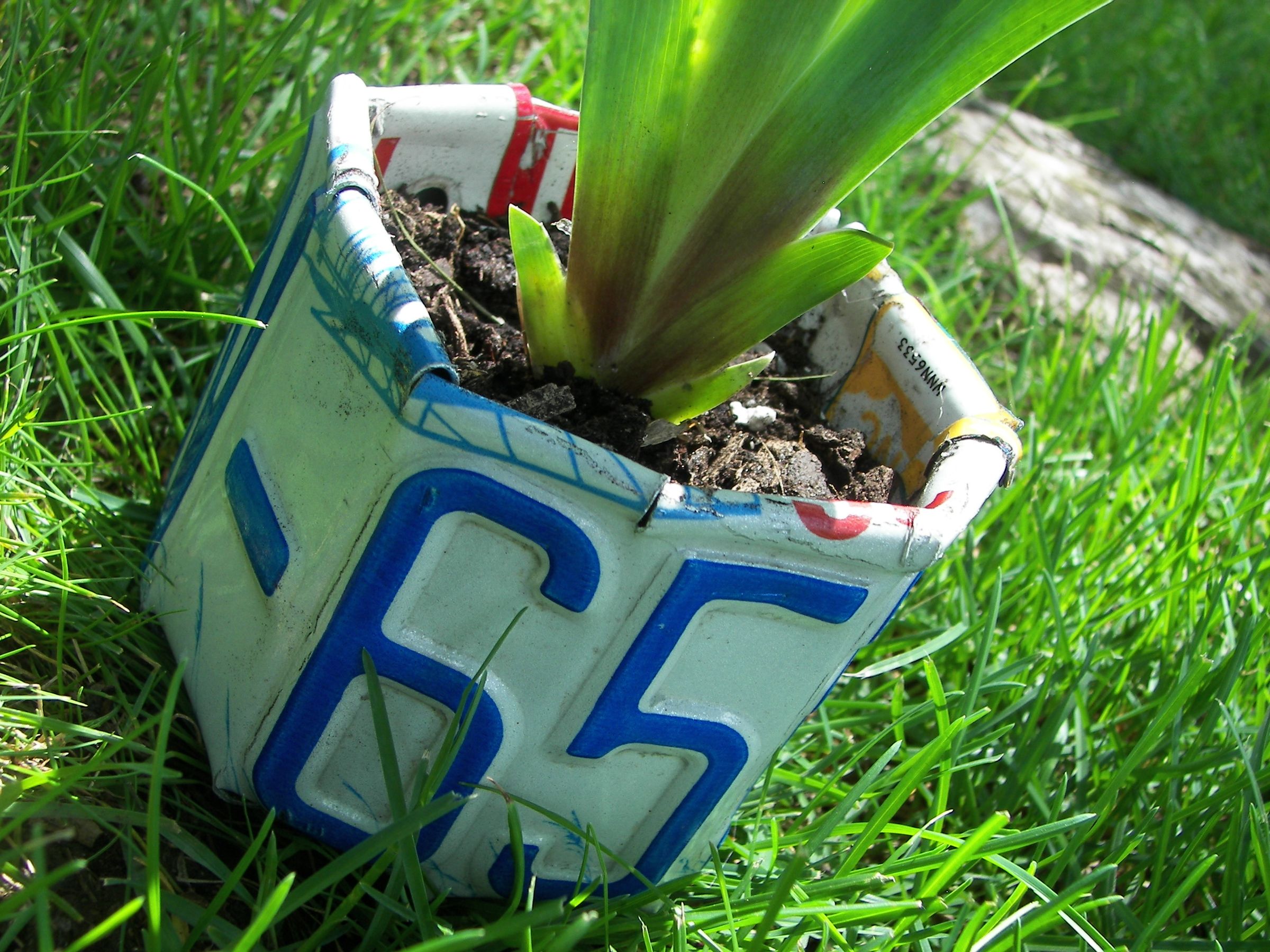 Repurposed Plate Planter