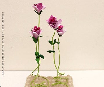 Roses Out of Egg Cartons