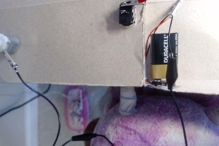 Black Wiring