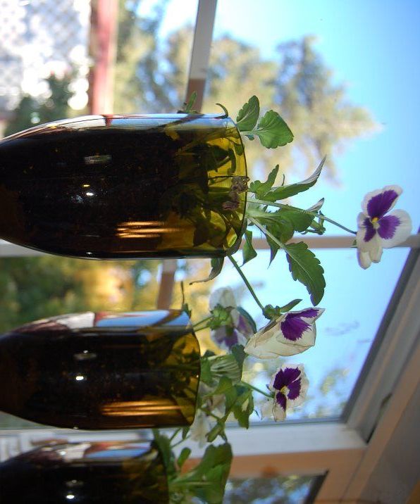 Hanging Upcycled Wine Bottle Planter Shelves
