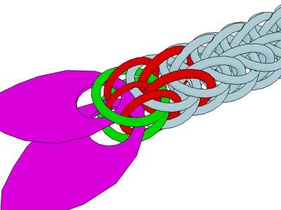 Serpentine Dragon: the Body