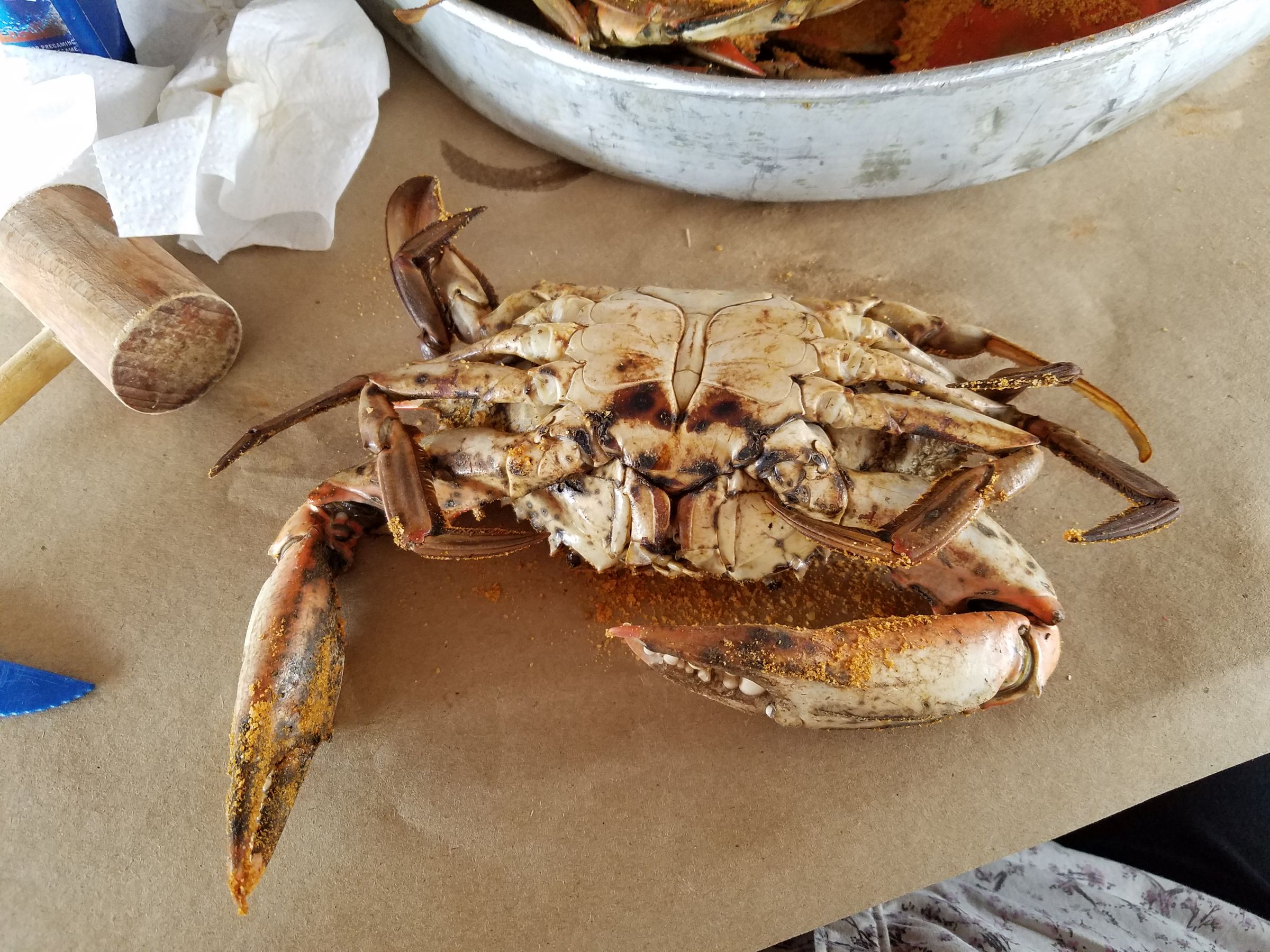 The Easy Way to Eat Md Blue Crabs