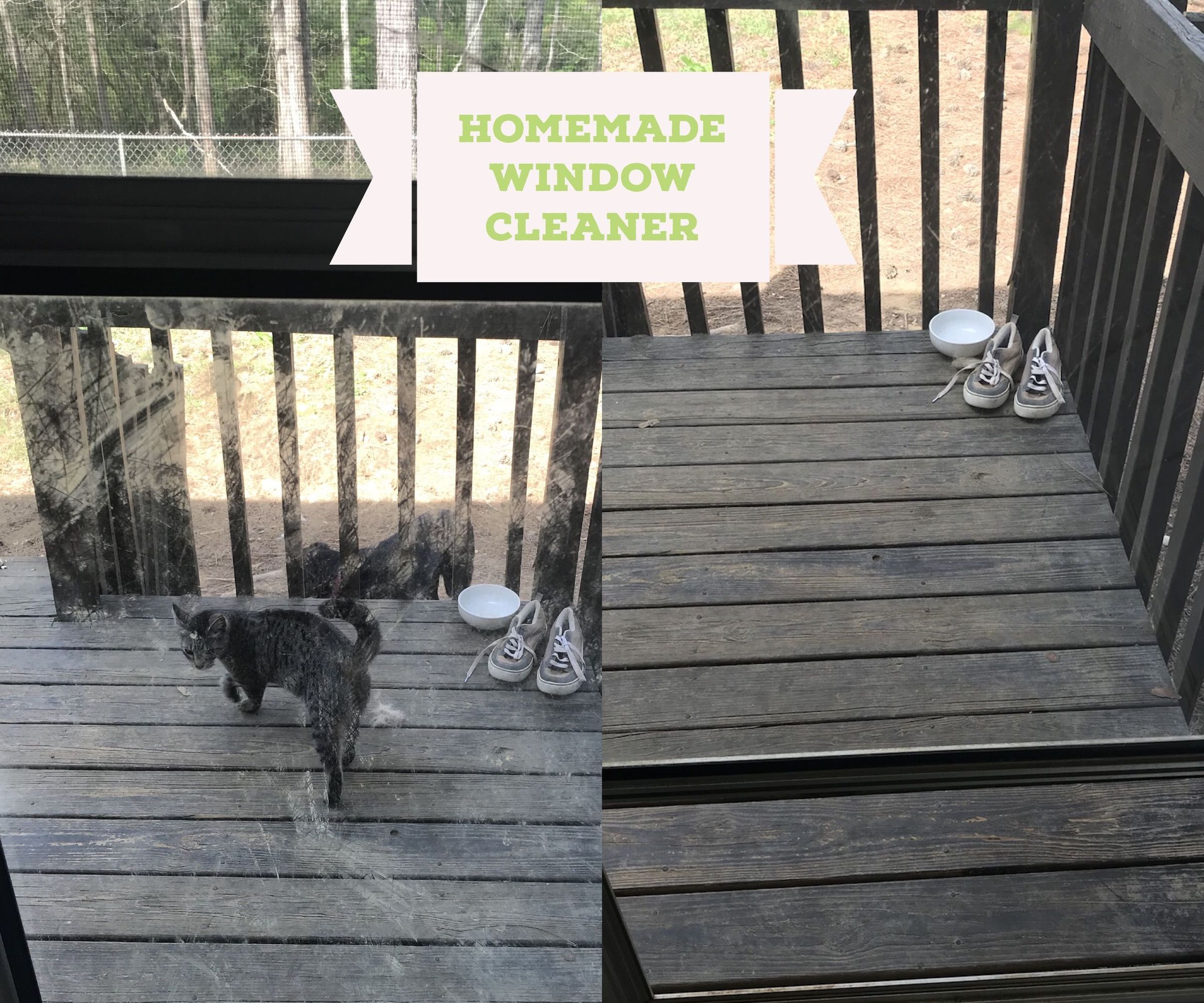 Children and Pet Safe - Window Cleaner