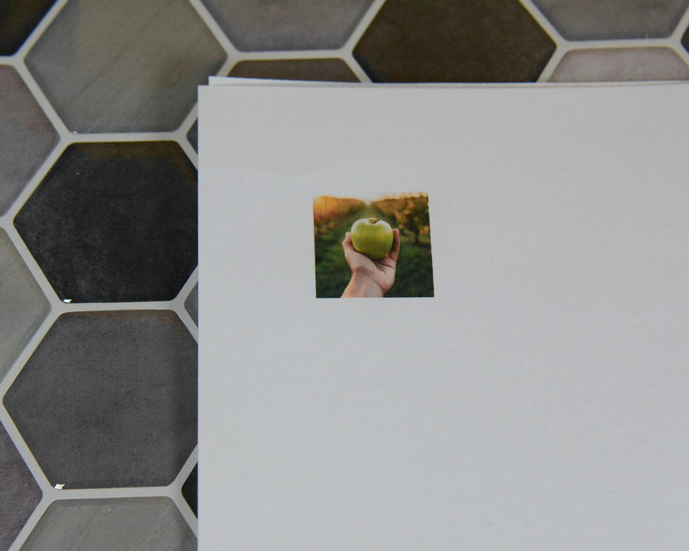 Polaroid Etiketleri - Basit Versiyon