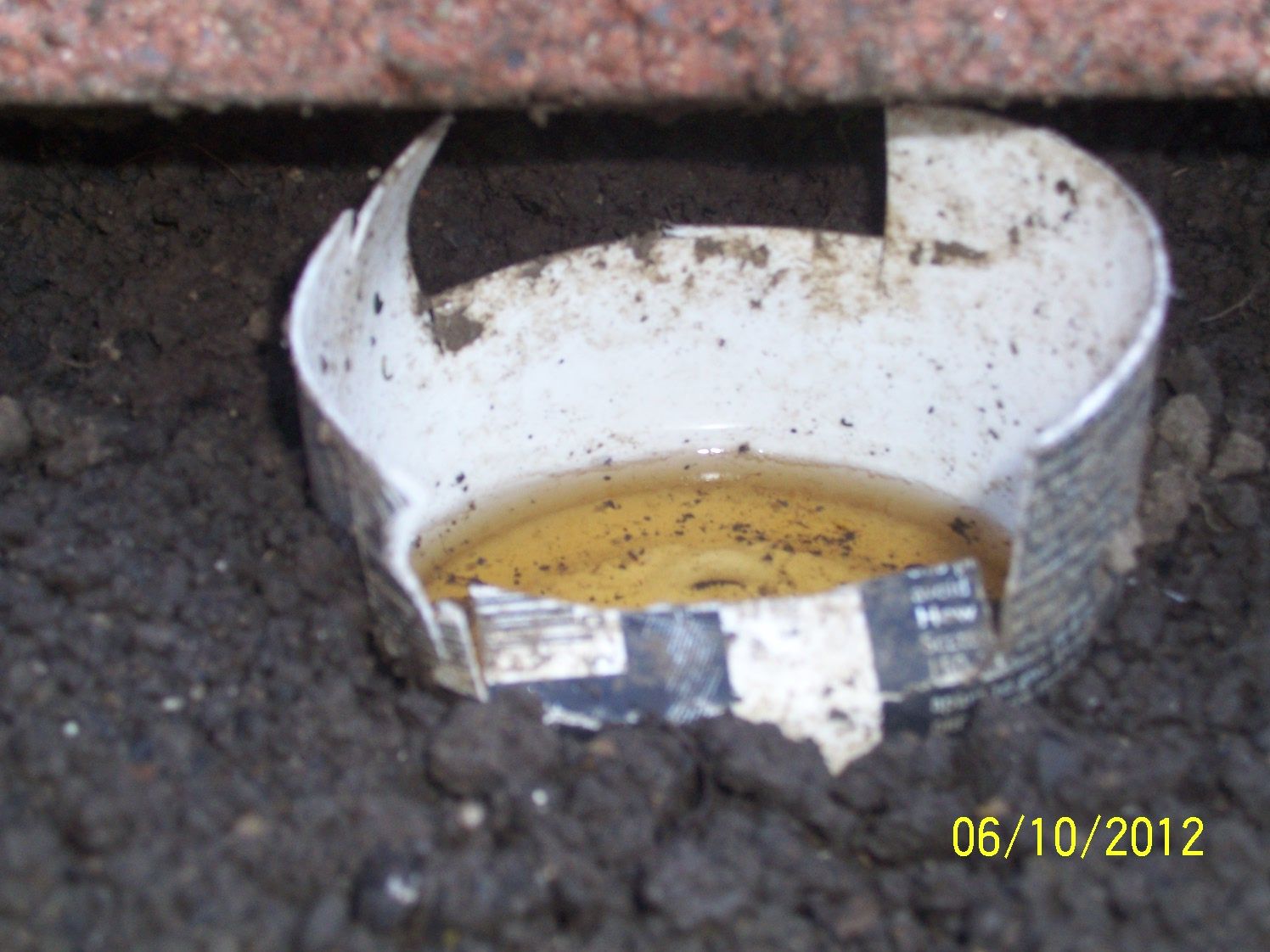 Simple Slug Trap : 5 Steps - Instructables