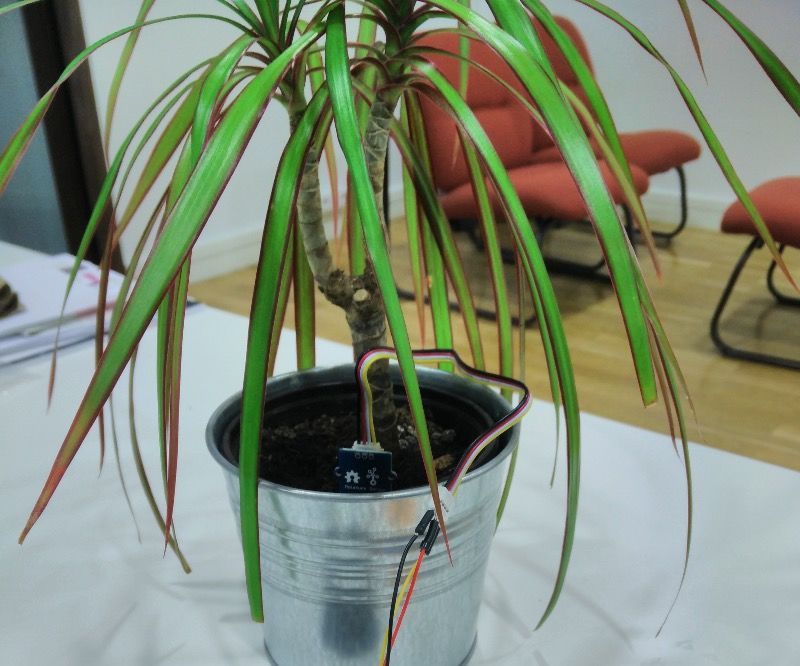 Connected plant with Sigfox, Akeru & thethings.iO