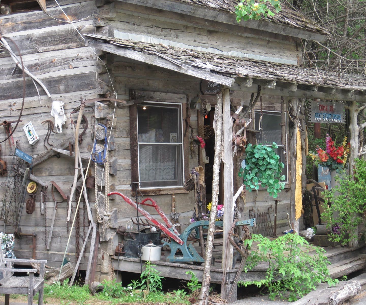  Build a Camp/ Cabin/ House