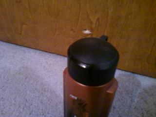 Aprils Fools Shampoo