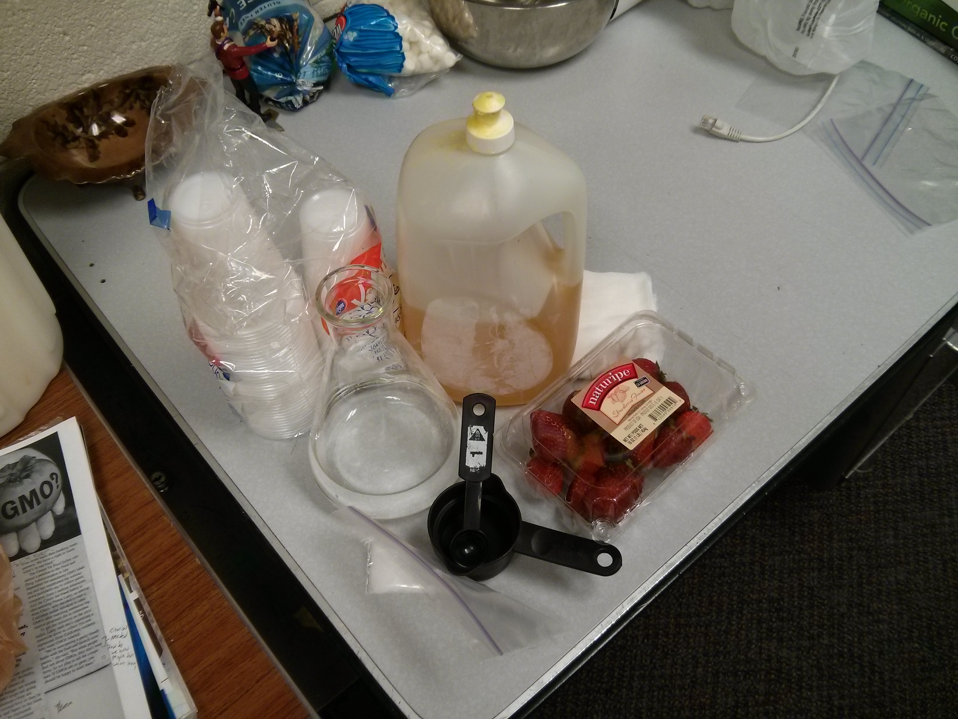 How to Extract DNA From Strawberries