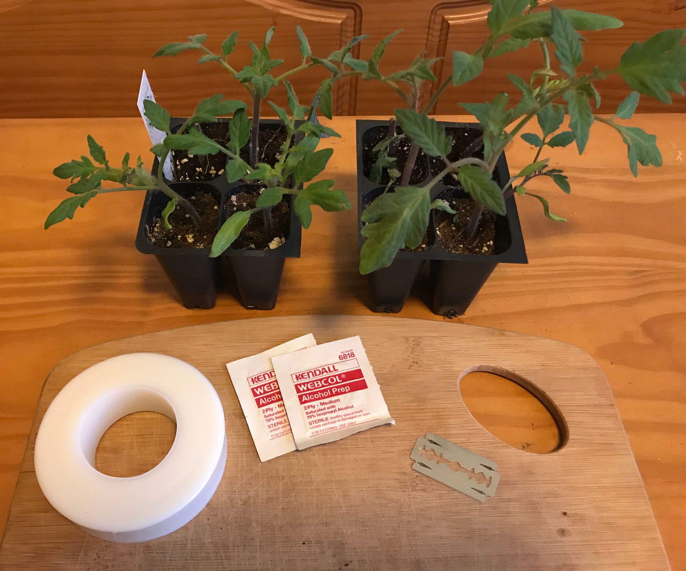 PlantGrafting