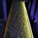 Illuminating Dog Ramp