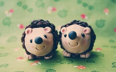 How Do Porcupines From Pineal