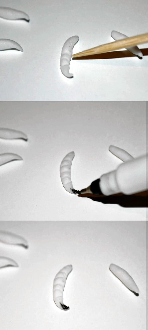 How to Sculpt Realistic Larvae and Maggots