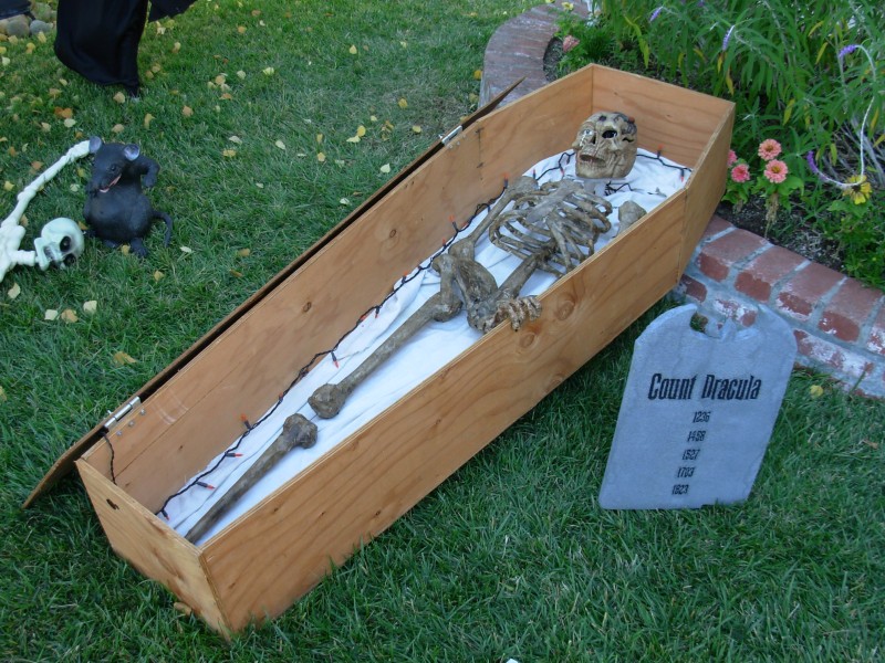 Paper Mache Skeletons