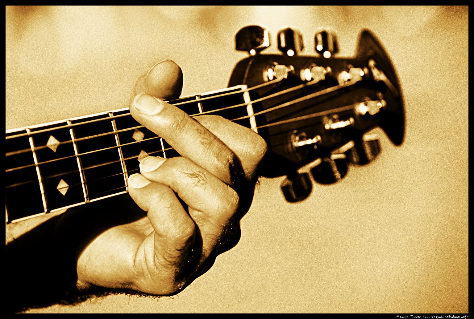 Introduction to How to Play Guitar