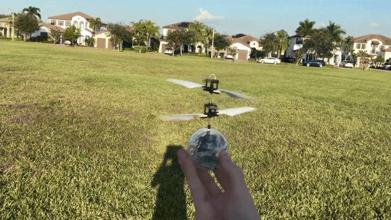 Bypassing Flying Orb Ball's Restrictive Sensors