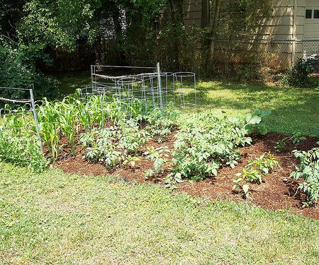 Vegetable Garden