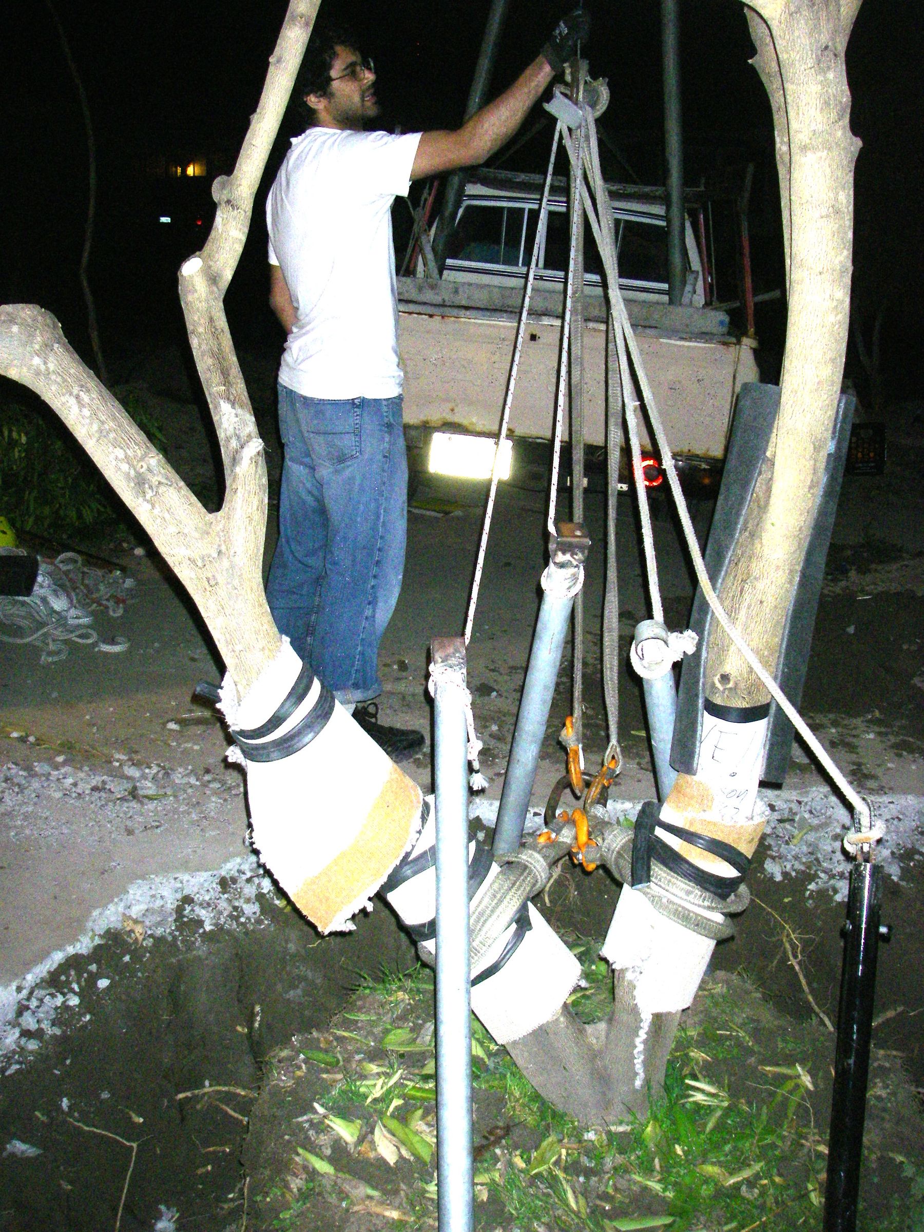How to Move a Tree, Vehicle and A-frame Method : 17 Steps (with ...