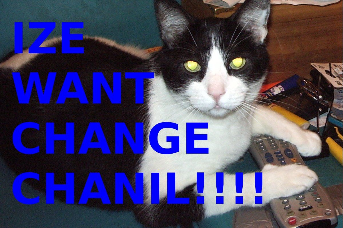 Catproof Remote Control