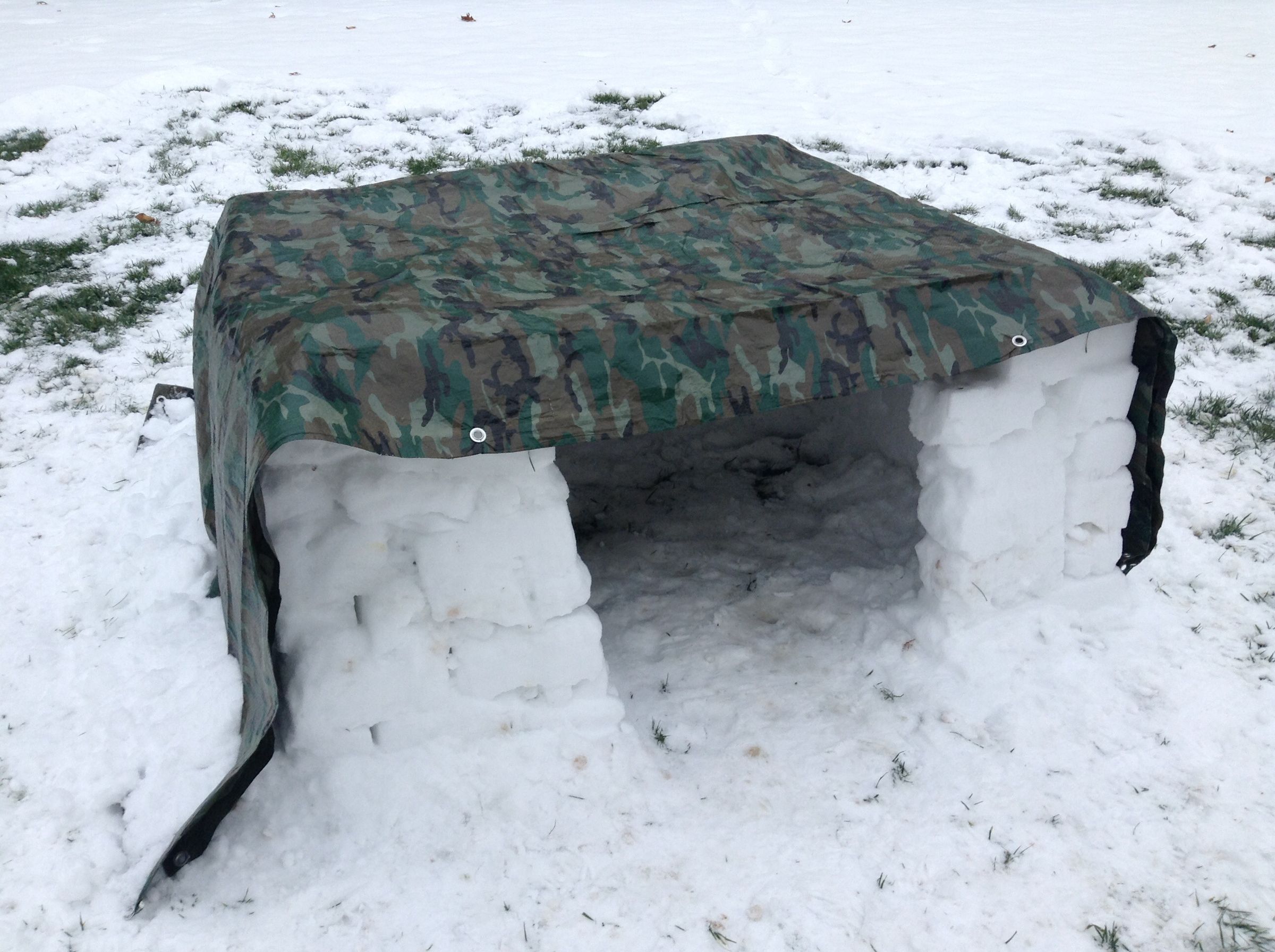 Winter Snow Fort