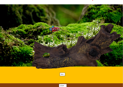 Planning Your Aquarium