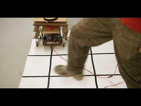 Load Transport Robot