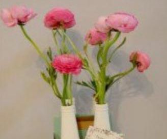 Beer Bottle Valentines Gift - Simple Lads Guide