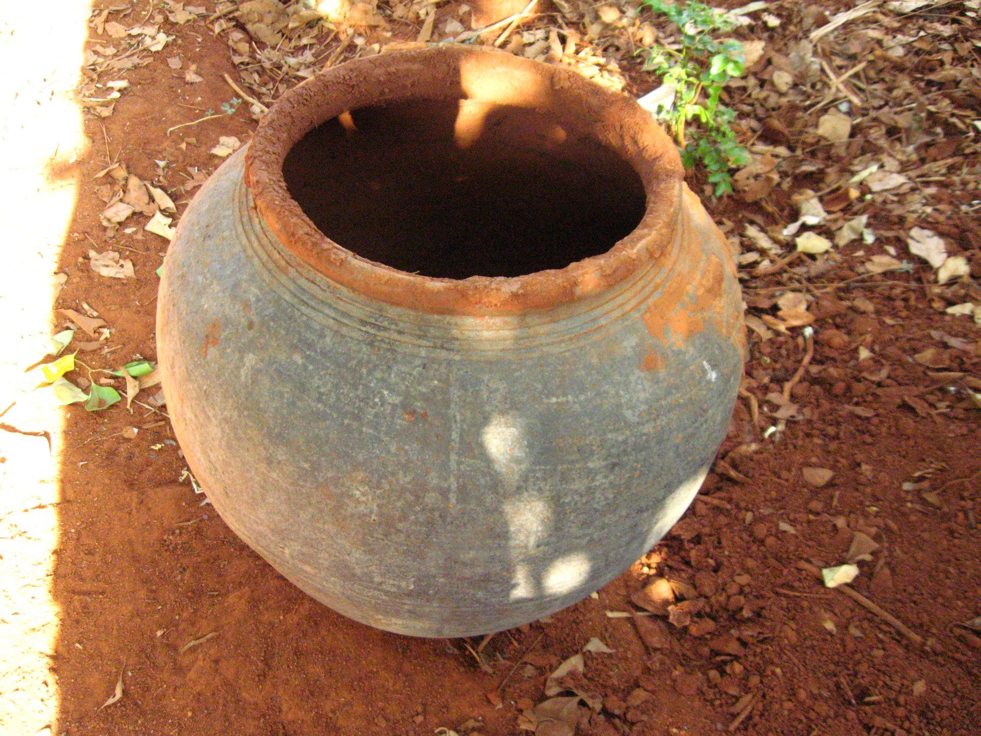 Growing Termites for Feeding Chicken 4 Steps (with Pictures