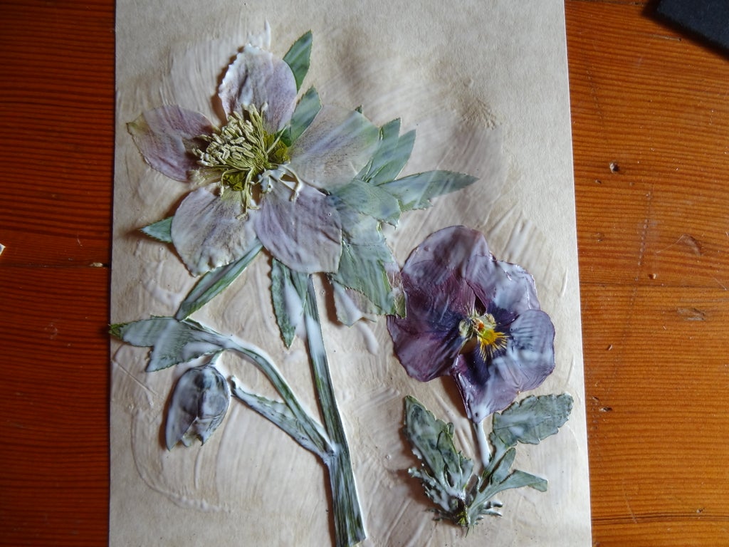 FWWL9BXH051F079 Can You Mod Podge Rose Petals