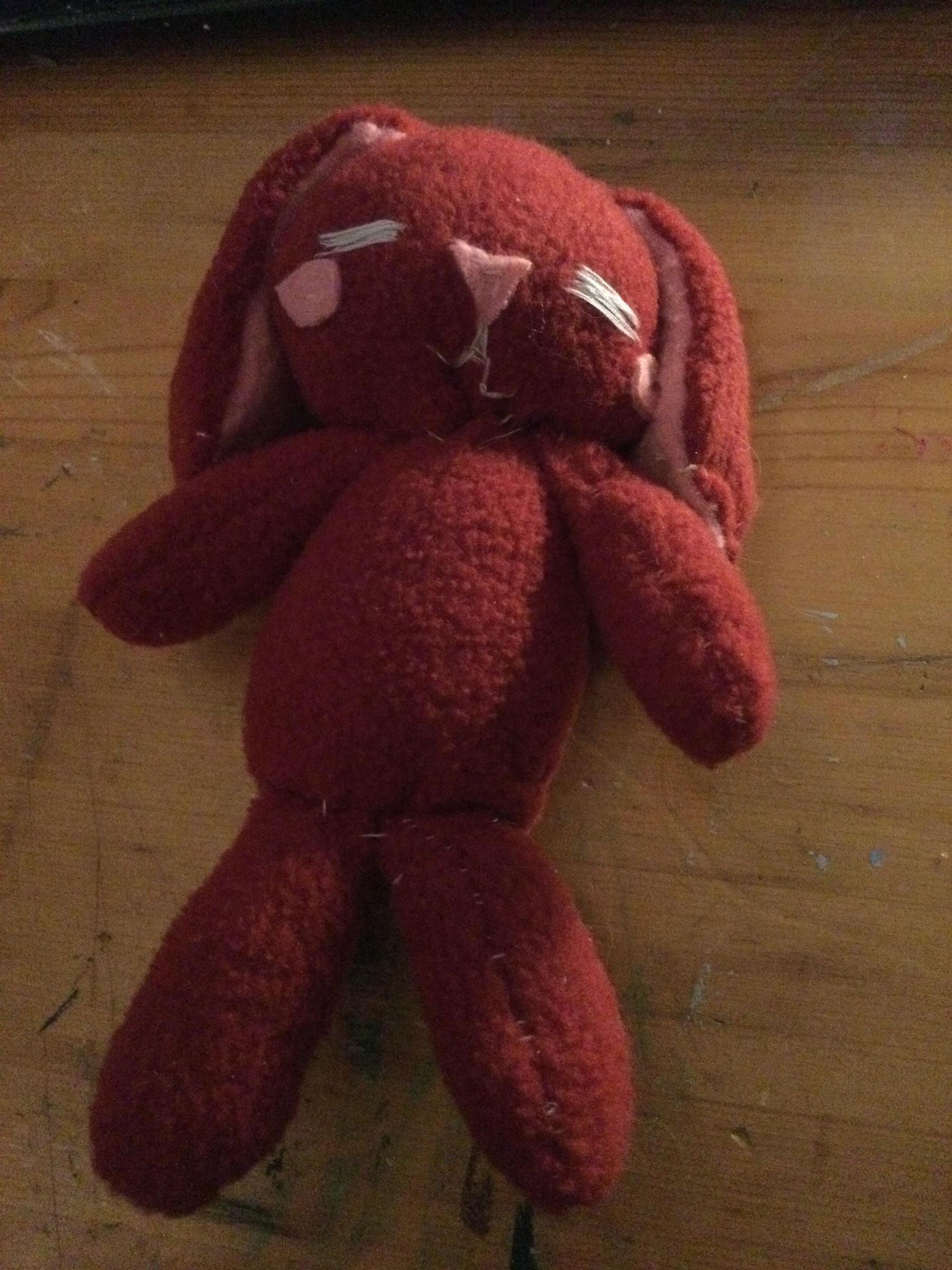 Warming Rabbit : 5 Steps - Instructables