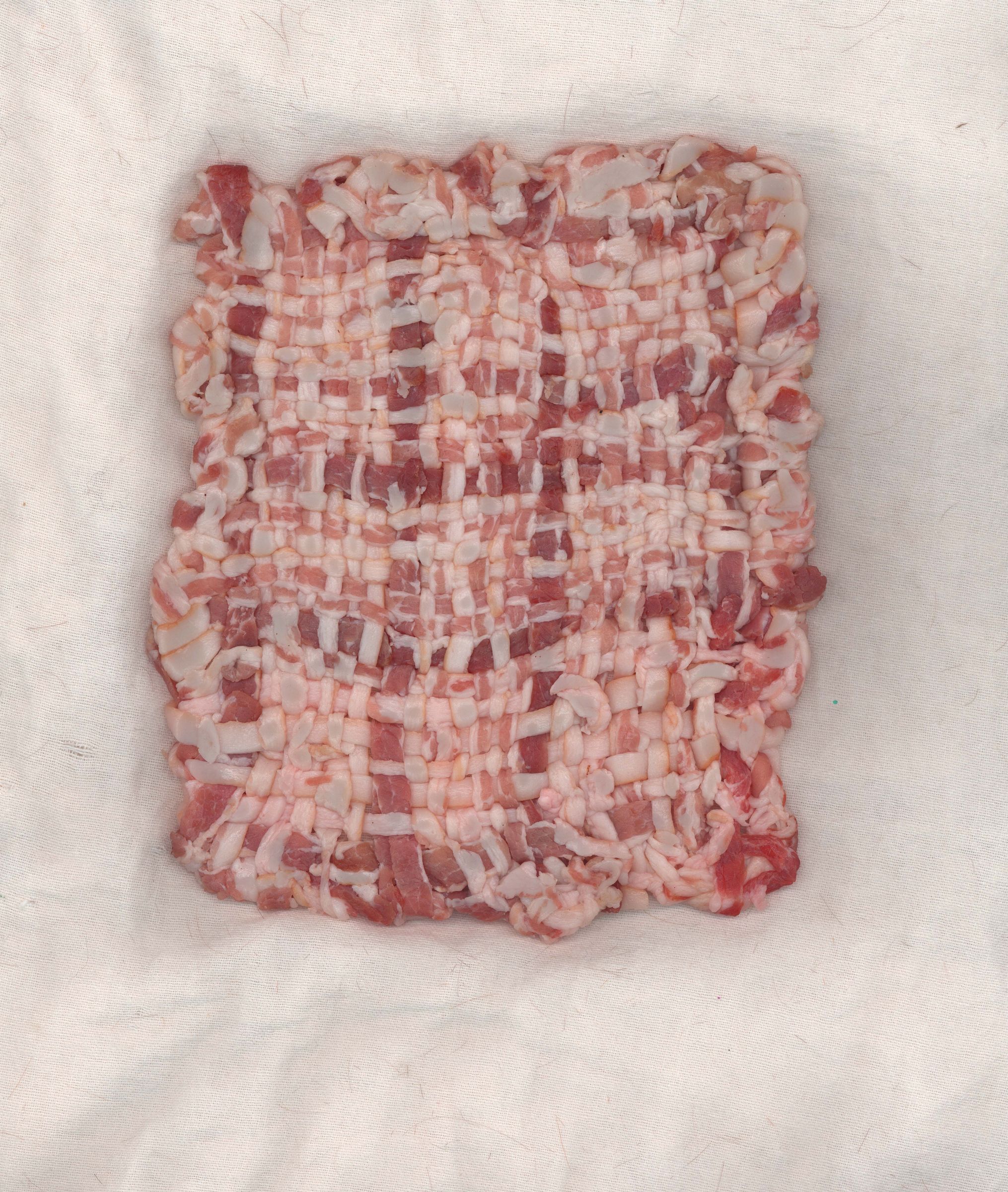 Woven Bacon Potholder
