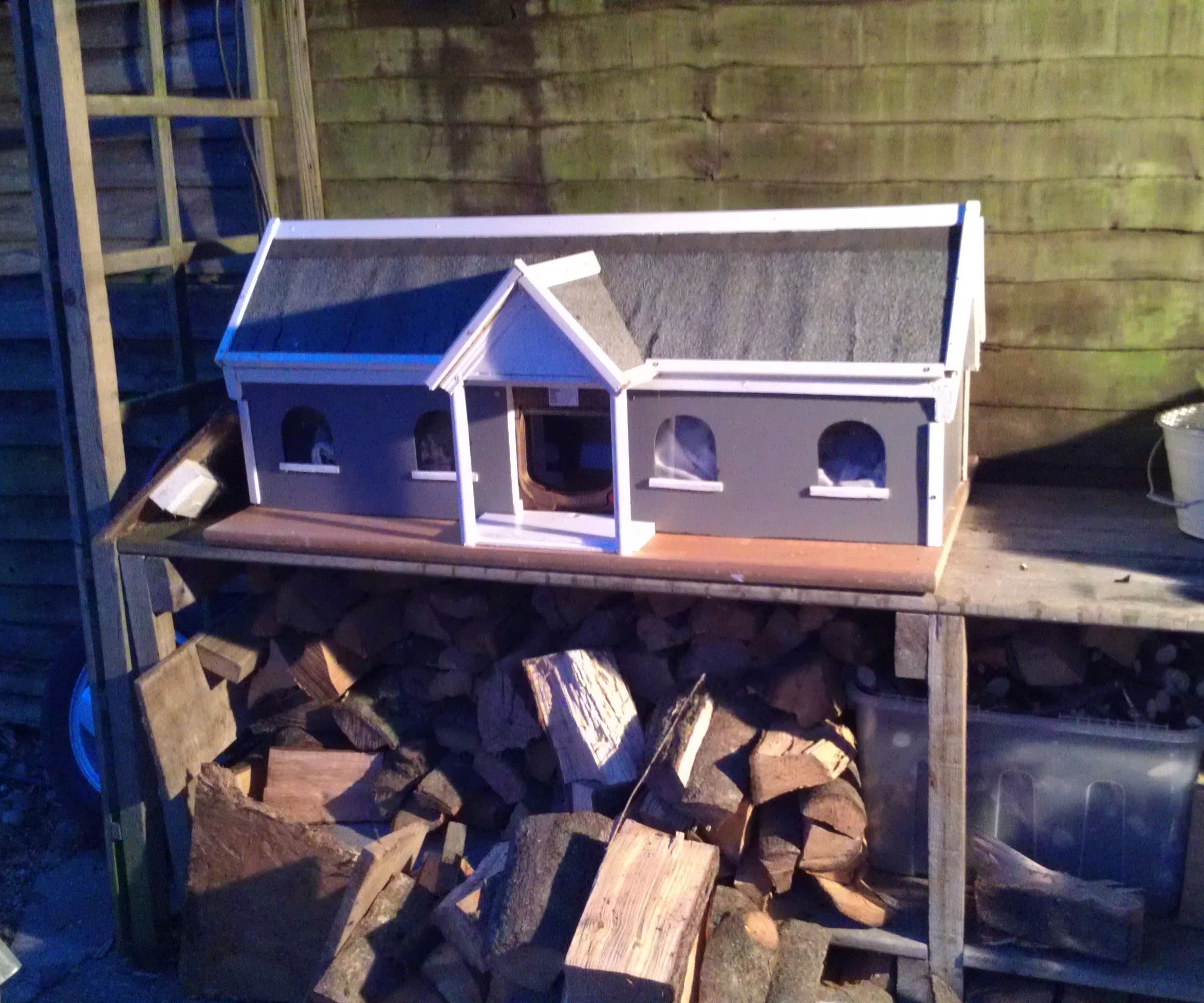 A Cat's White House. 