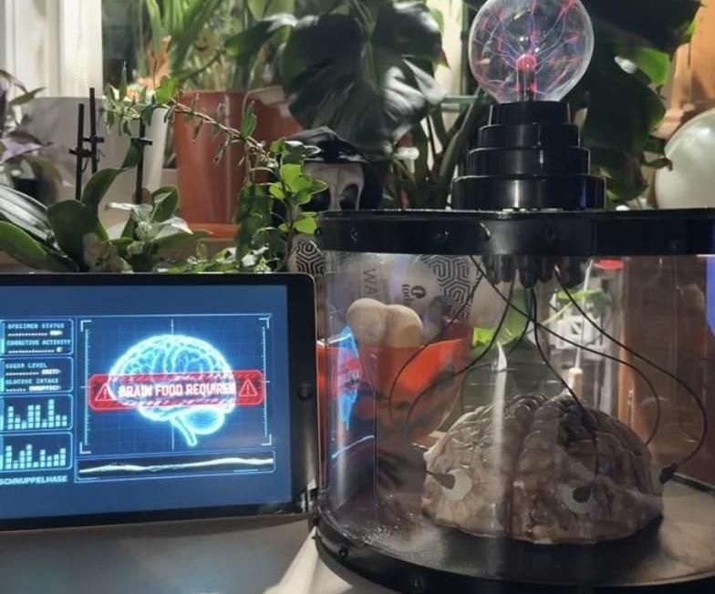 Candy Bar Brain – Halloween Specimen Chamber