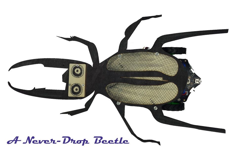 A Never Fall Beetle