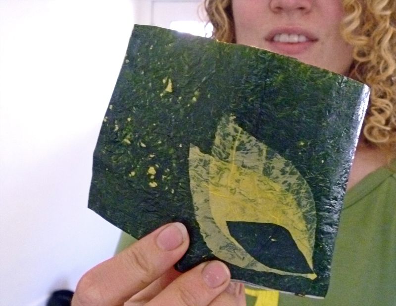 Upcycled Wallet From Plastic Bags