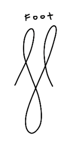 The Skeleton