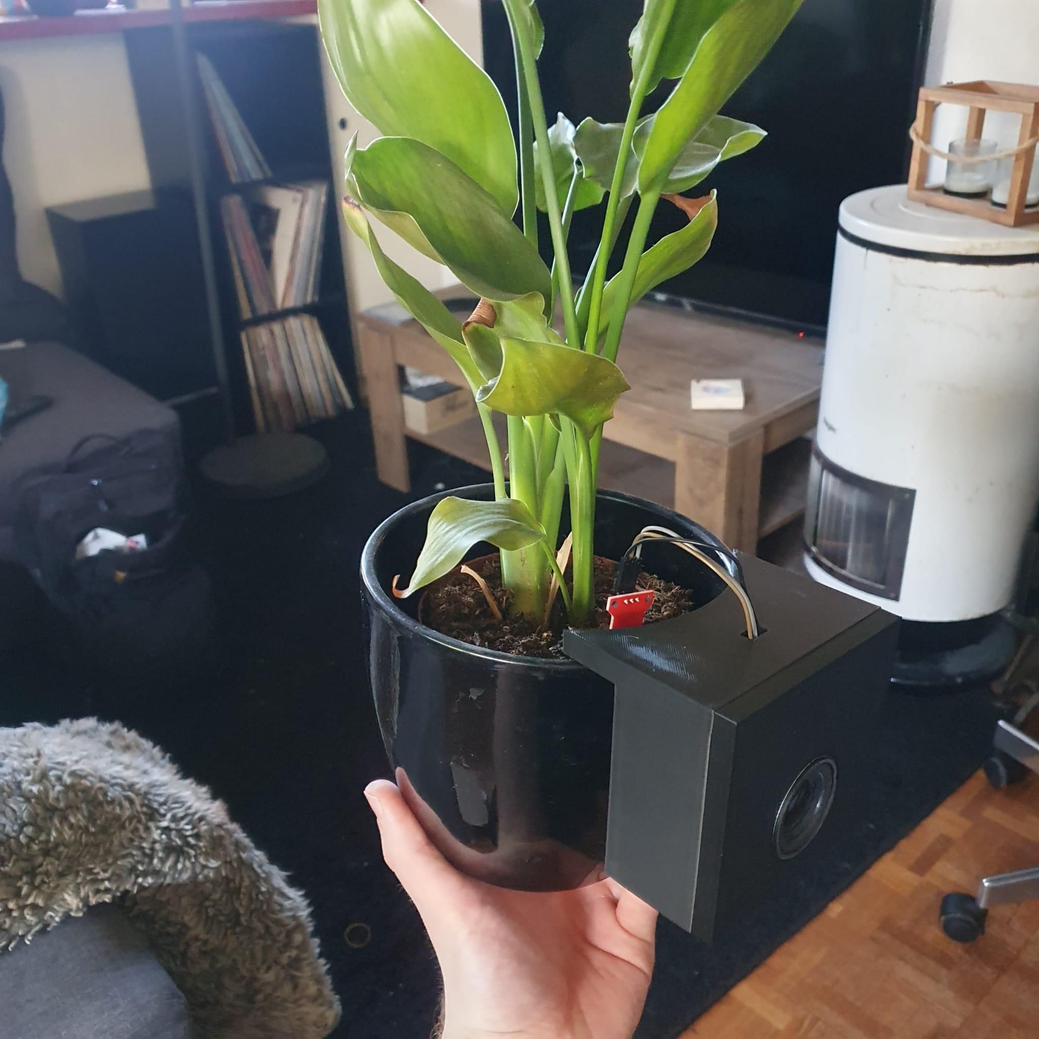 Talking Flower Pot Add-On With Arduino : 5 Steps (with Pictures ...