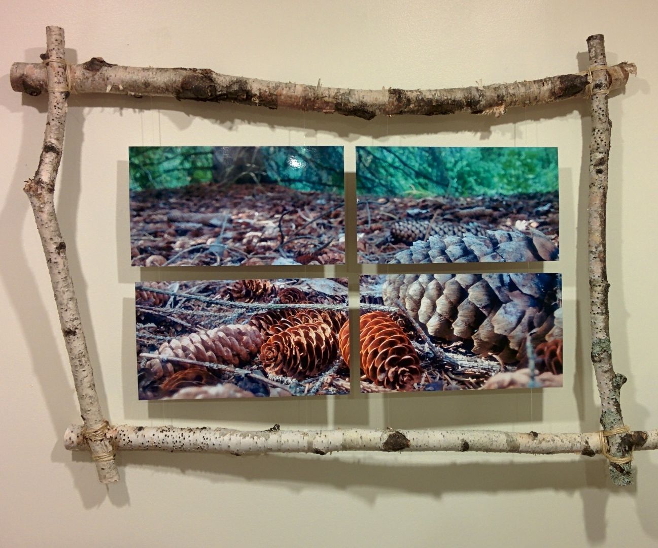 Birch Frame With Floating Photos