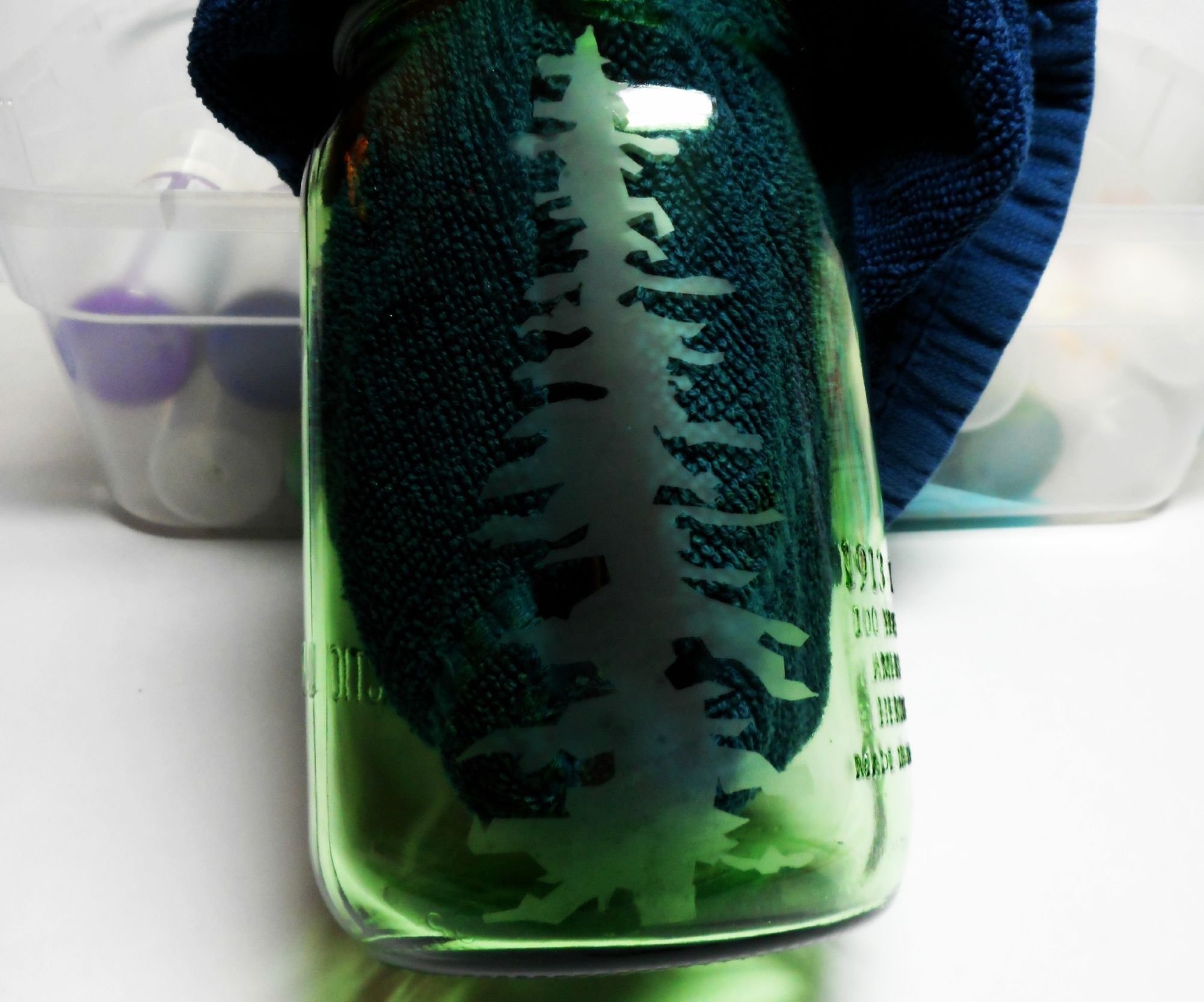 Hand Etched Redwood Tree Mason Jar 