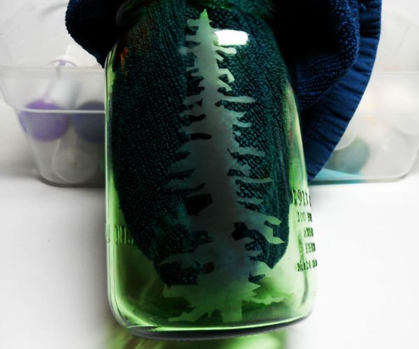 Hand Etched Redwood Tree Mason Jar