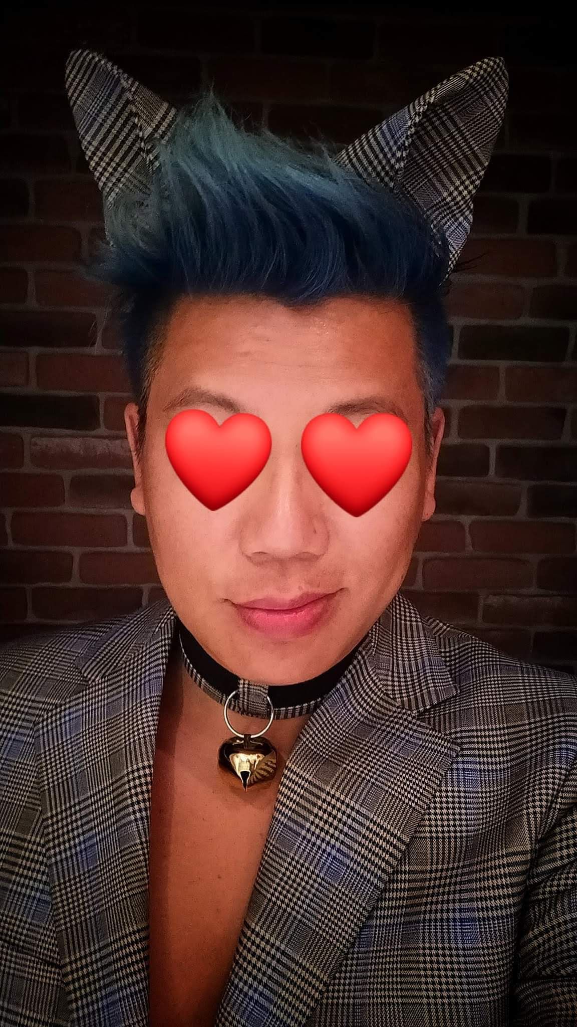 Cat Ears and Bell Collar (From Suit Scraps) 4 Steps Instructables